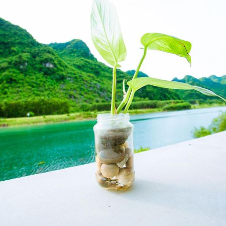 Phong Nha A Little Leaf Homestay Luaran gambar