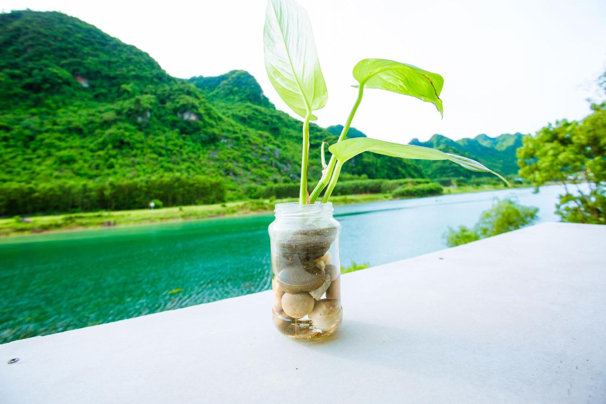 Phong Nha A Little Leaf Homestay Luaran gambar