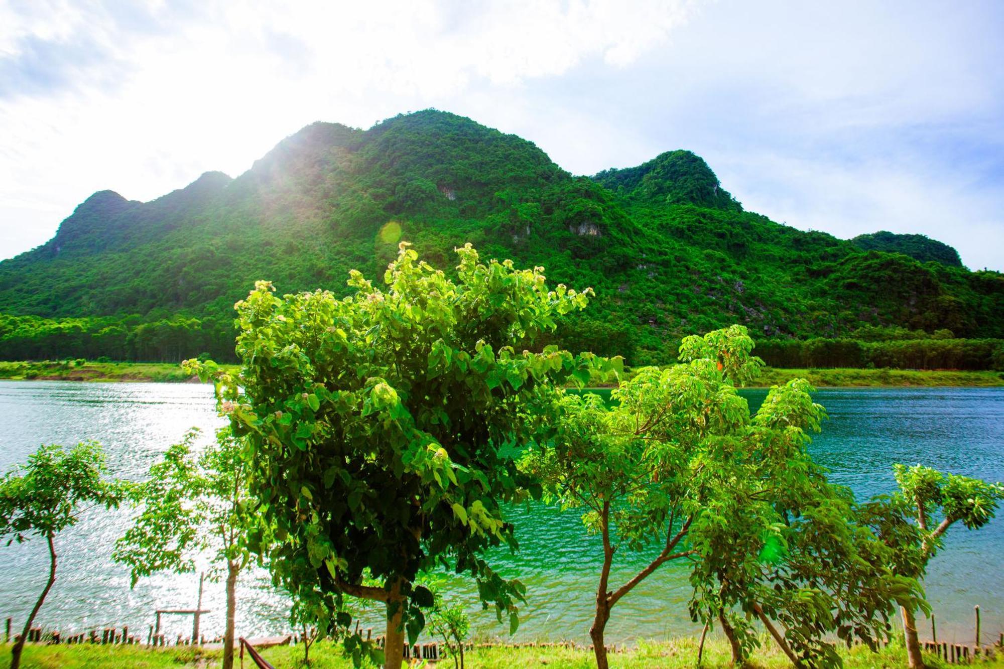 Phong Nha A Little Leaf Homestay Luaran gambar