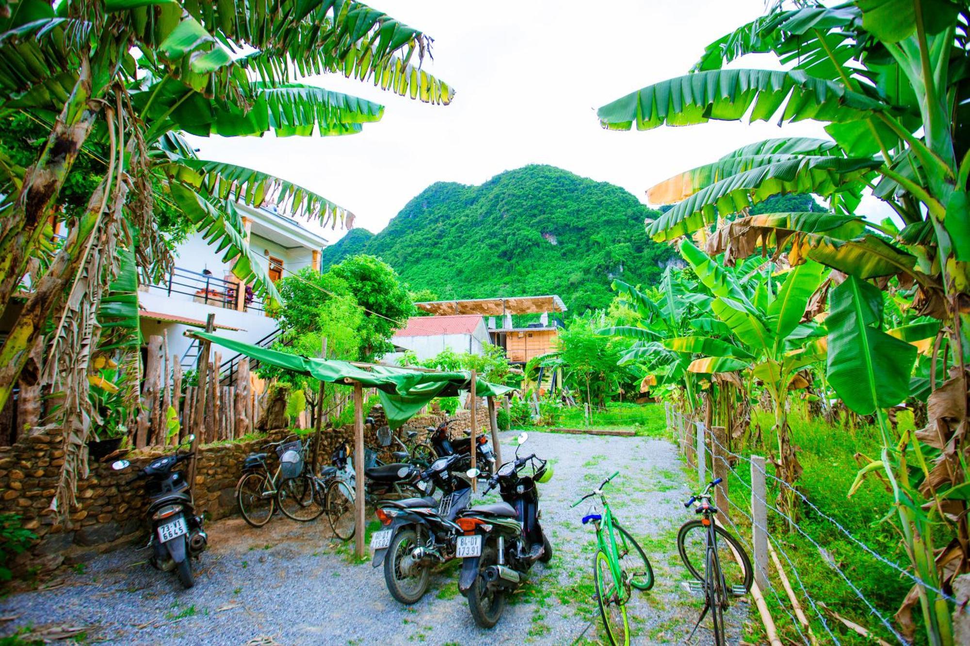 Phong Nha A Little Leaf Homestay Luaran gambar